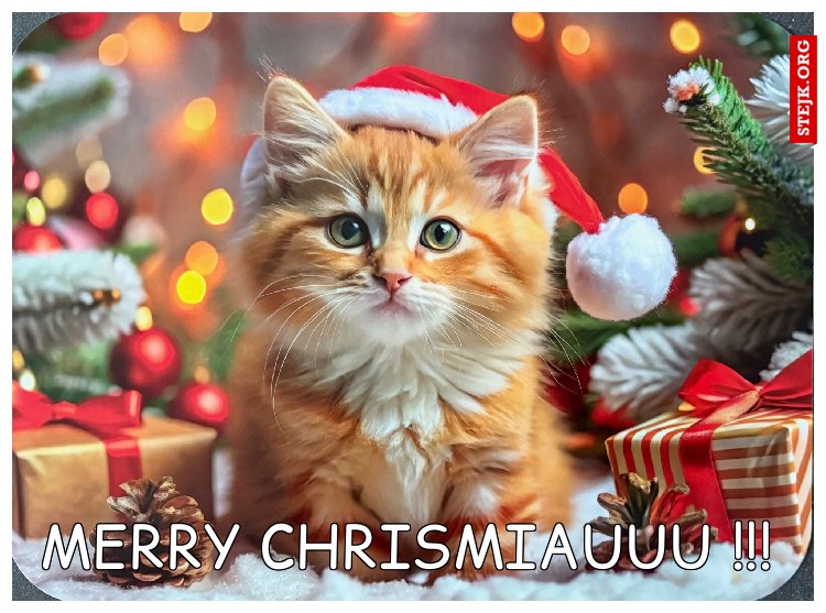 MERRY CHRISMIAUUU !!!