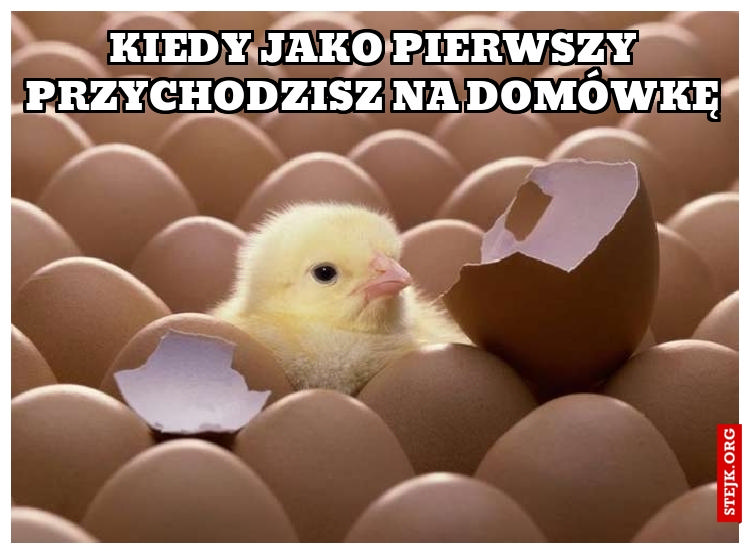 KIEDY JAKO PIERWSZY PRZYCHODZISZ NA DOMÓWKĘ