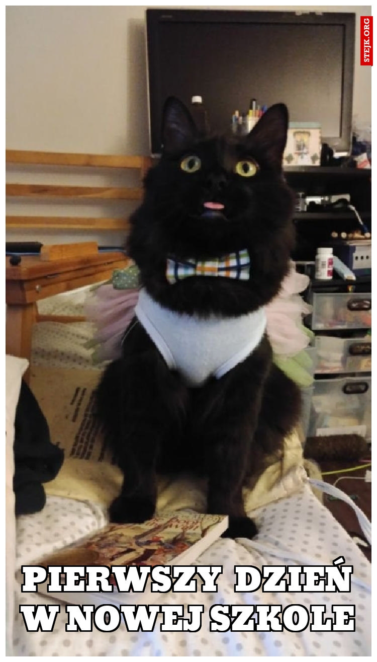 Pierwszy dzień w nowej szkole