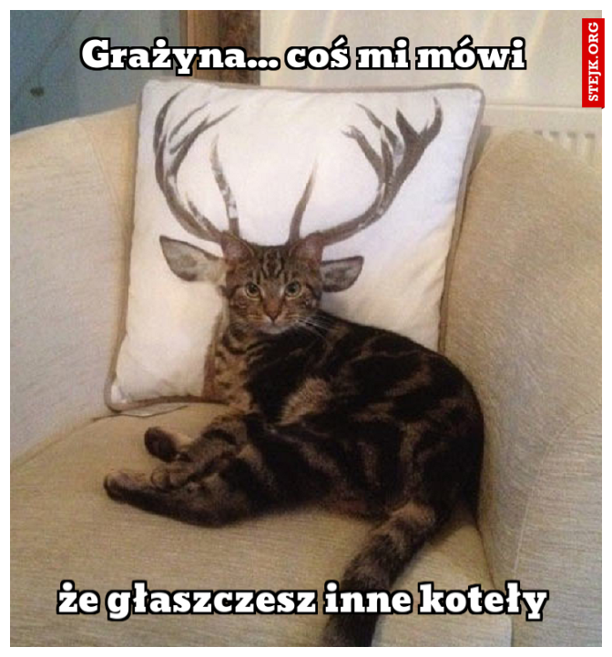 Grażyna... coś mi mówi