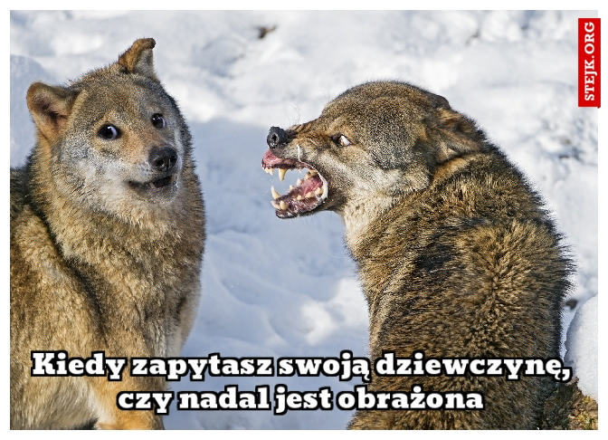 Kiedy zapytasz swoją dziewczynę, czy nadal jest obrażona