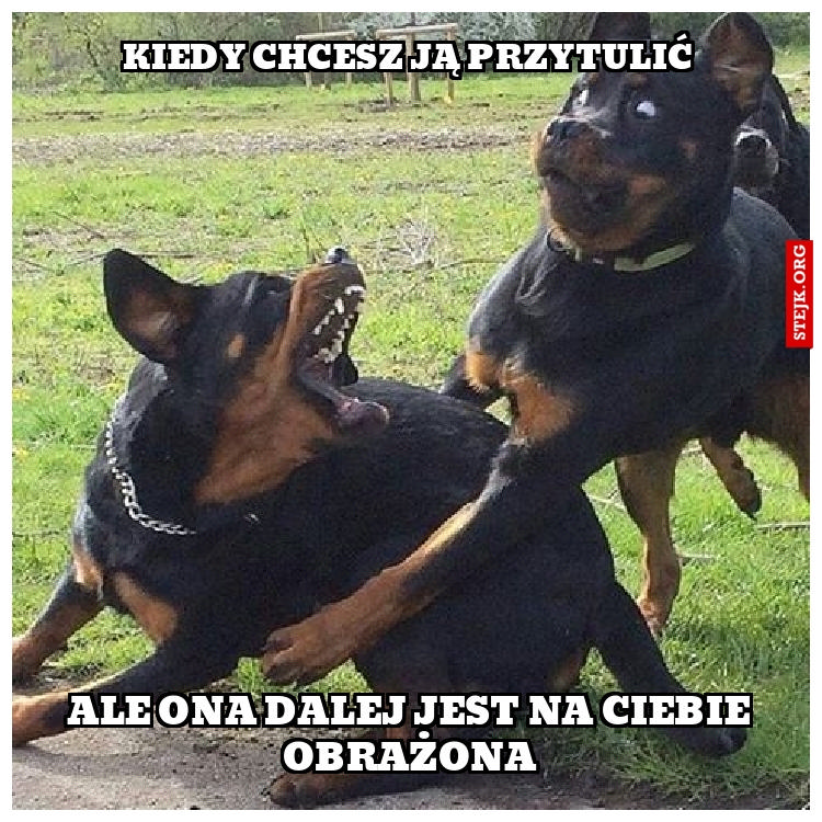 Kiedy chcesz ją przytulić