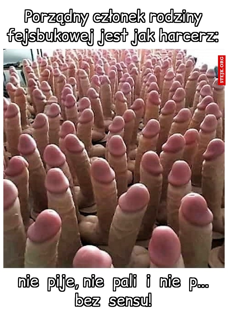 Porządny członek rodziny fejsbukowej jest jak harcerz: