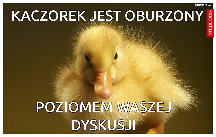 Kaczorek jest oburzony