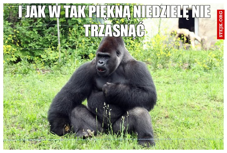 I jak w tak piękną niedzielę nie trzasnąć