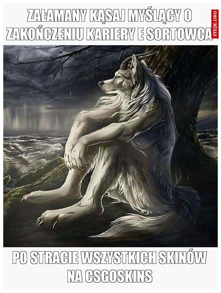 Załamany kąsaj myślący o zakończeniu kariery e sortowca