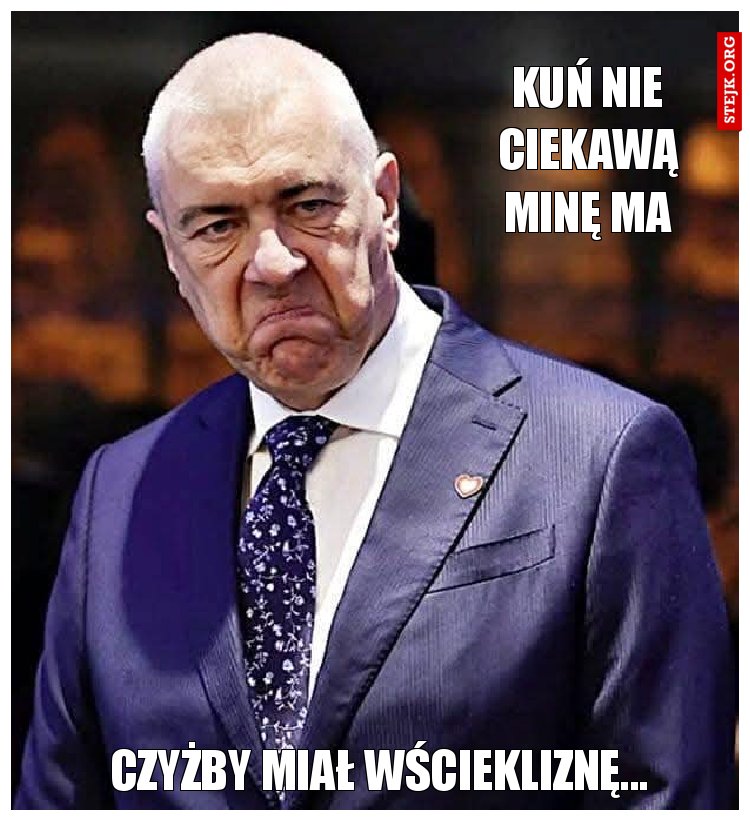 Kuń nie ciekawą minę ma