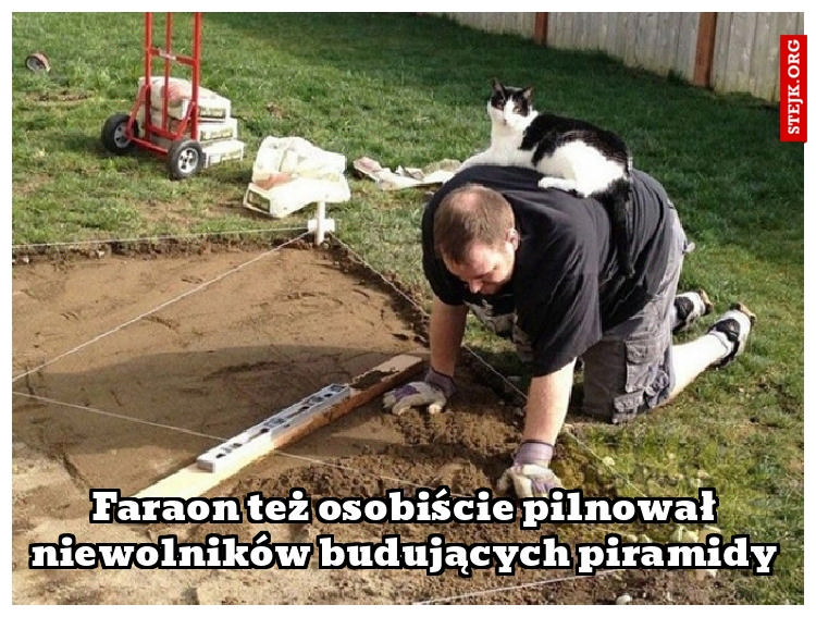 Faraon też osobiście pilnował niewolników budujących piramidy