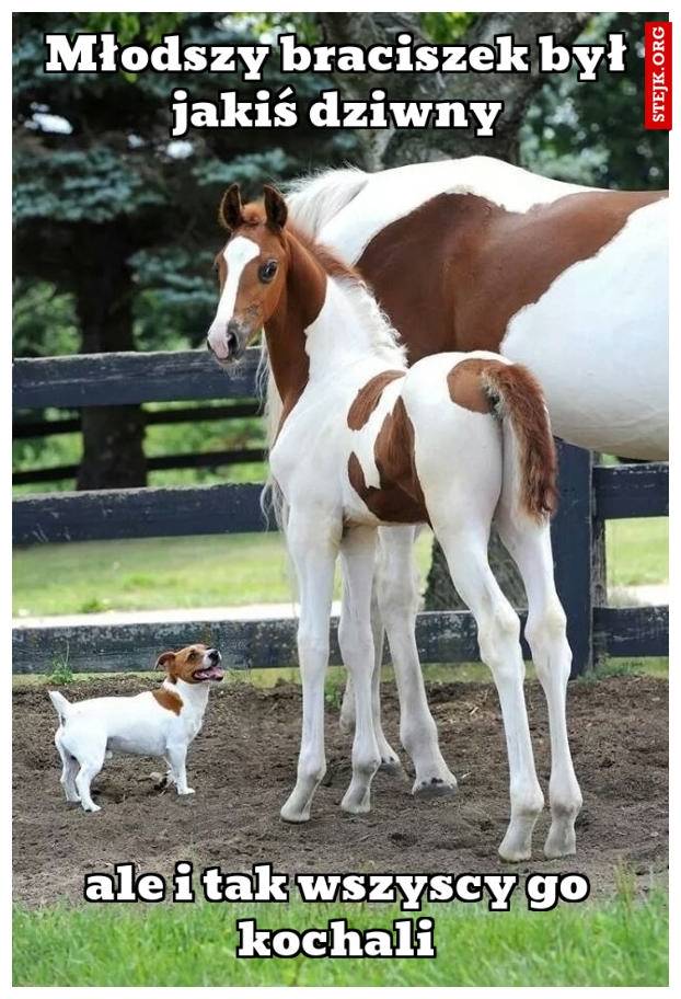 Młodszy braciszek był jakiś dziwny