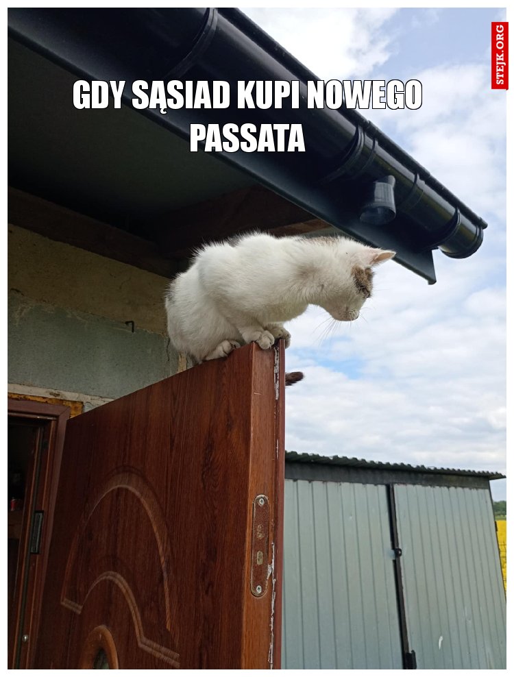 Gdy Sąsiad kupi nowego Passata