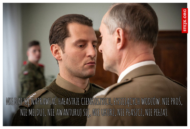 Nie daj się naprawiać hałastrze cienkoszyich, łysiejących wodzów. Nie proś, nie melduj, nie awanturuj się, nie ukorz, nie płaszcz, nie pełzaj.