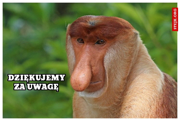 Dziękujemy za uwagę