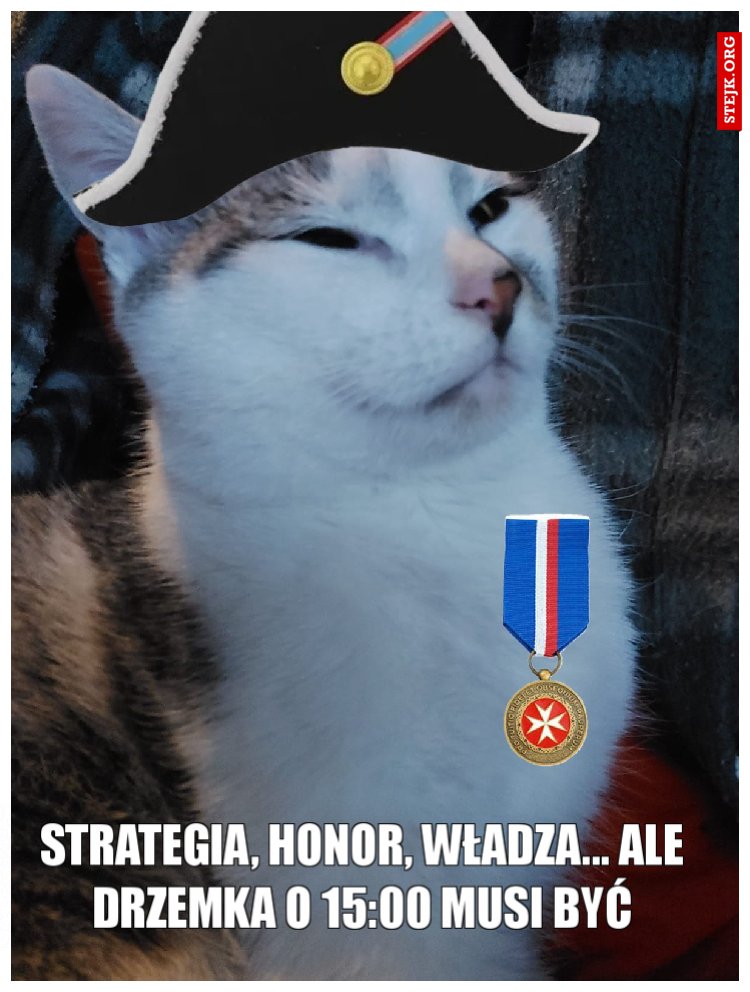 Strategia, honor, władza... Ale drzemka o 15:00 musi być