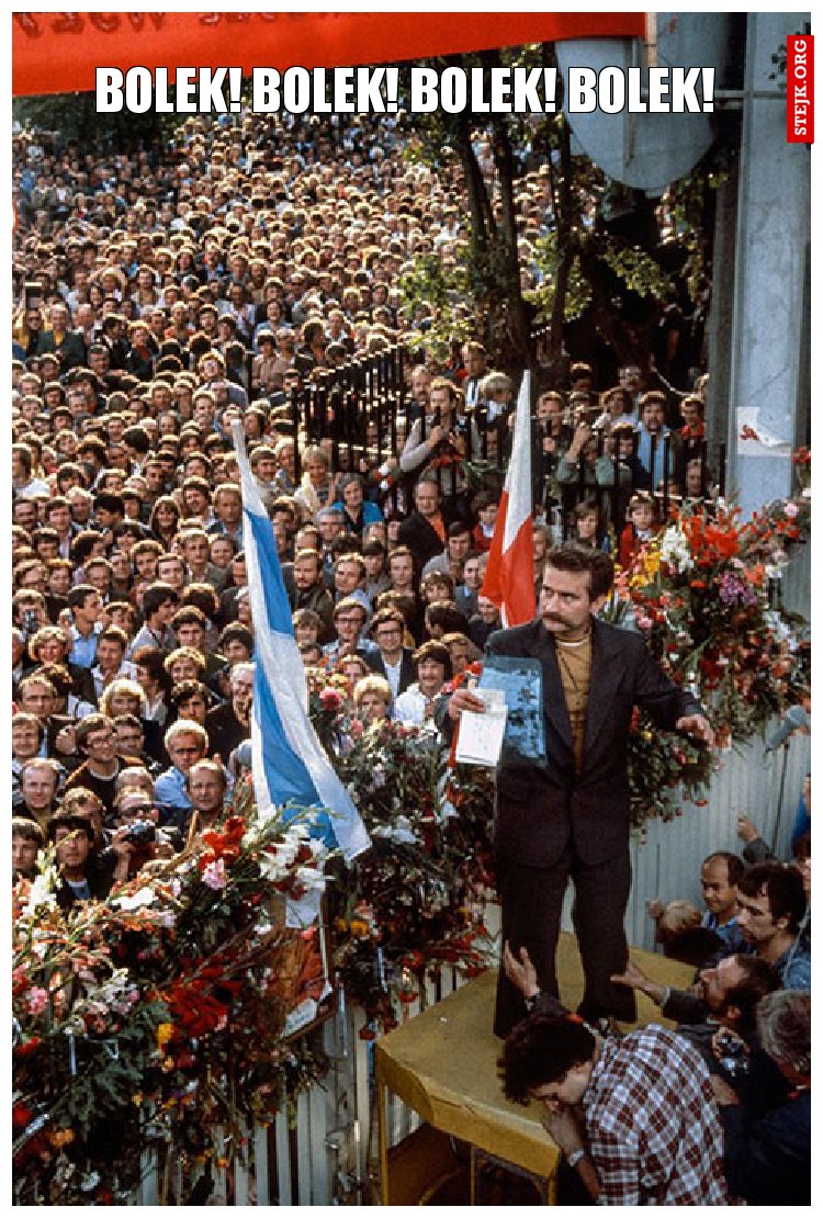 Bolek! Bolek! Bolek! Bolek!