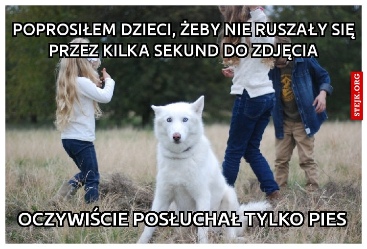 Poprosiłem dzieci, żeby nie ruszały się przez kilka sekund