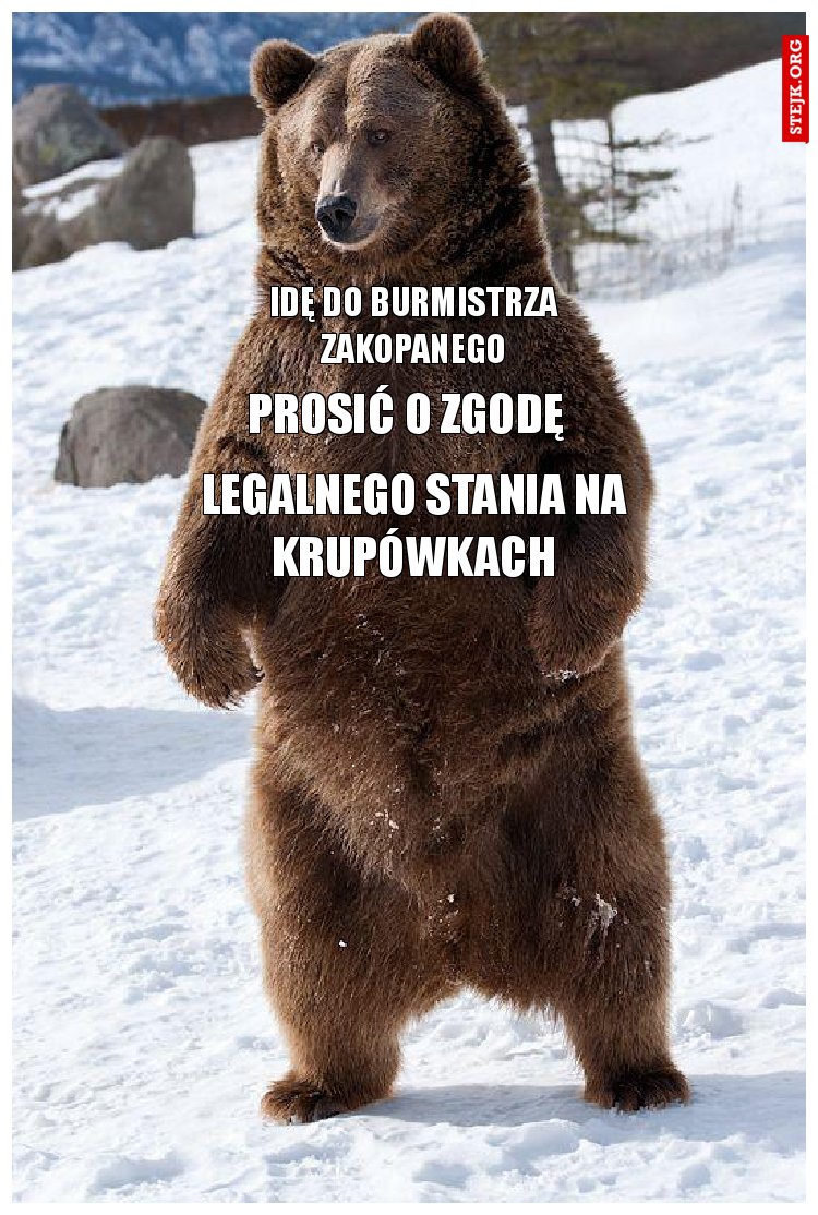 idę do burmistrza zakopanego