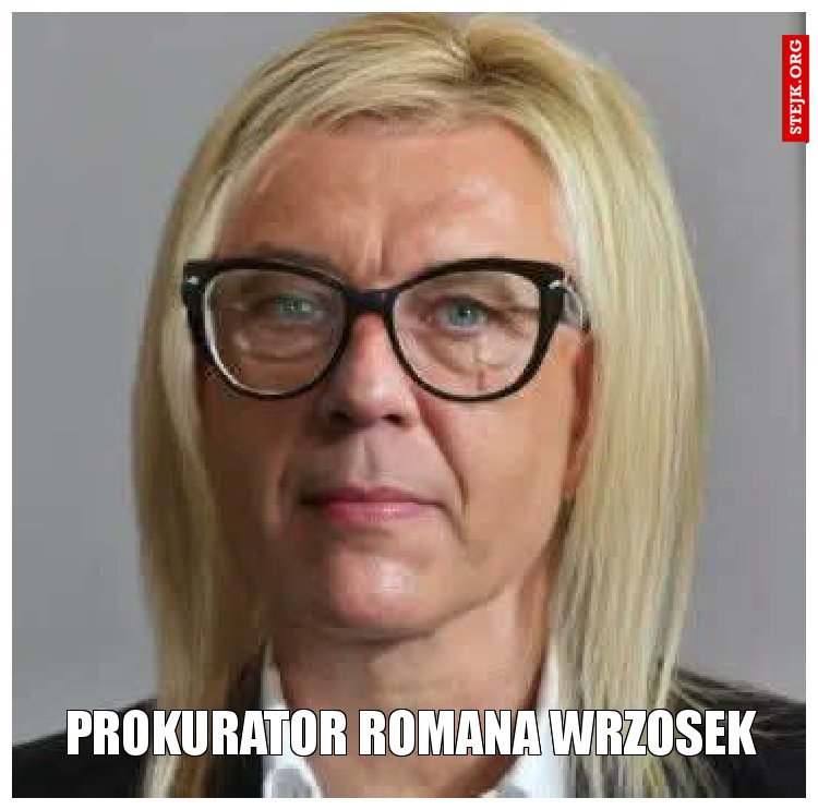 Prokurator Romana Wrzosek