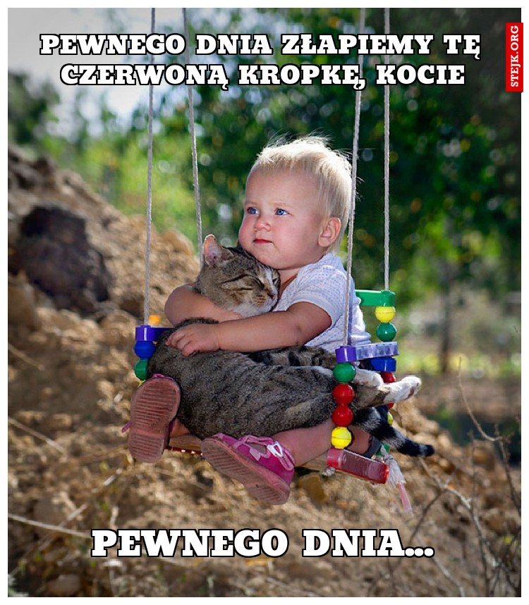 Pewnego dnia złapiemy tę czerwoną kropkę, kocie