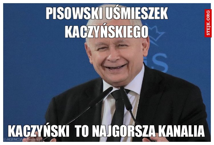 pisowski uśmieszek kaczyńskiego
