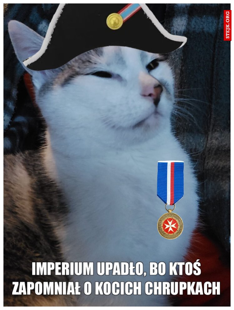 Strategia, honor, władza... Ale drzemka o 15:00 musi być