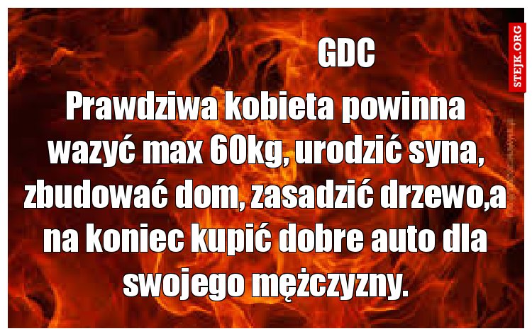 Prawdziwa kobieta powinna wazyć max 60kg, urodzić syna, zbudować dom, zasadzić drzewo,a na koniec kupić dobre auto dla swojego mężczyzny.