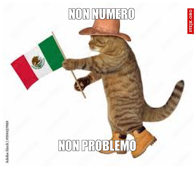NON NUMERO