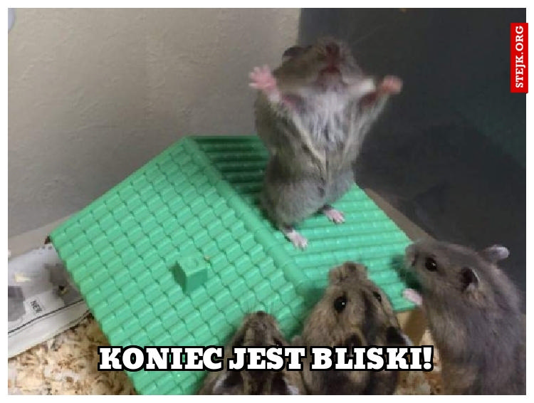 Koniec jest bliski!