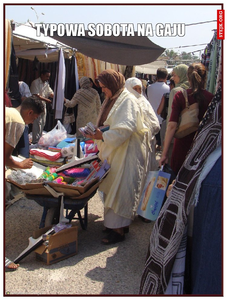 Typowa sobota na gaju