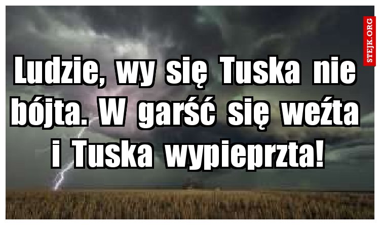 Ludzie,  wy  się  Tuska  nie  bójta.  W  garść  się  weźta  i  Tuska  wypieprzta!