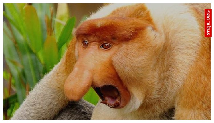 Pov: ja po tym jak sie dowiedziałem że mam brata