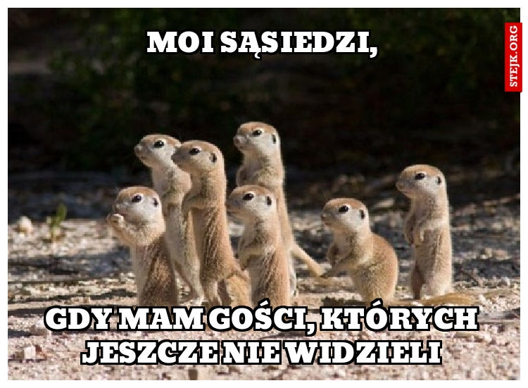 MOI SĄSIEDZI