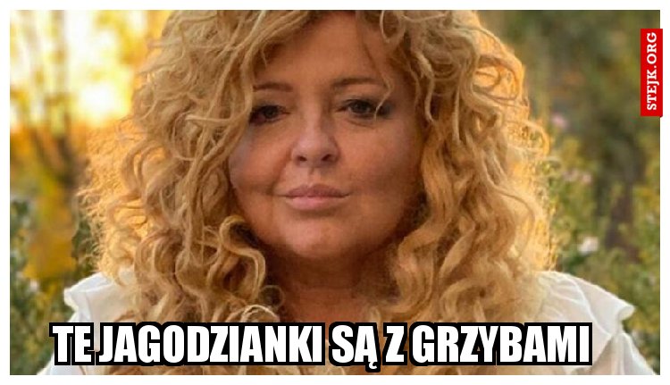 te jagodzianki są z grzybami