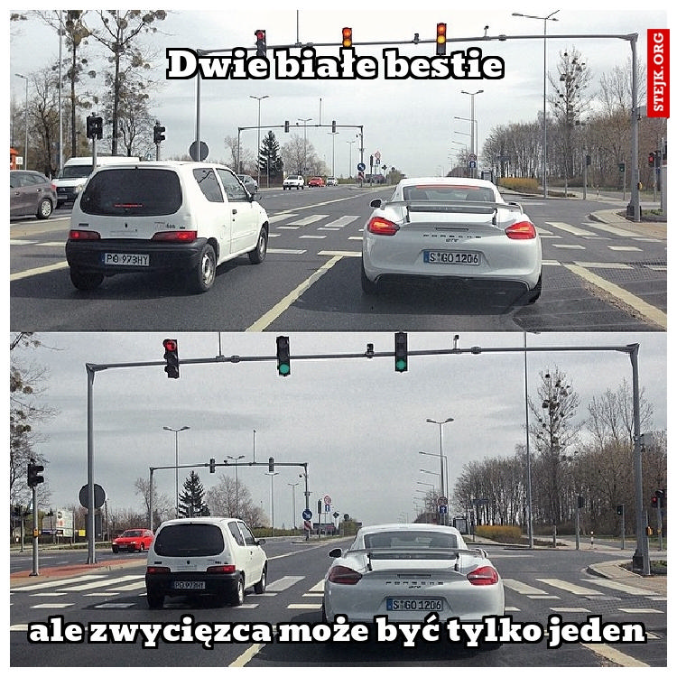 Dwie białe bestie