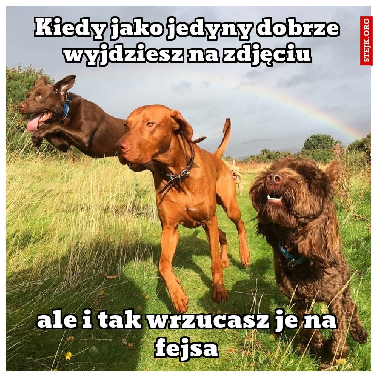 Kiedy jako jedyny dobrze wyjdziesz na zdjęciu