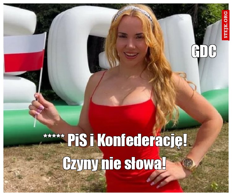 ***** PiS i Konfederację!
