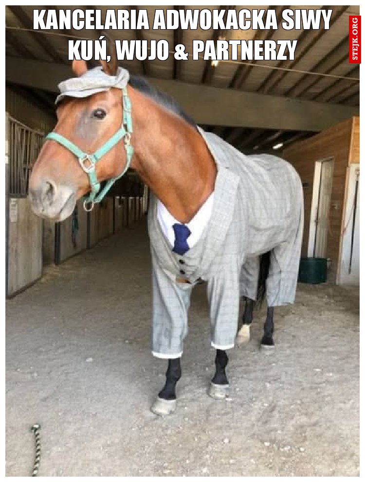Kancelaria adwokacka Siwy kuń, Wujo 