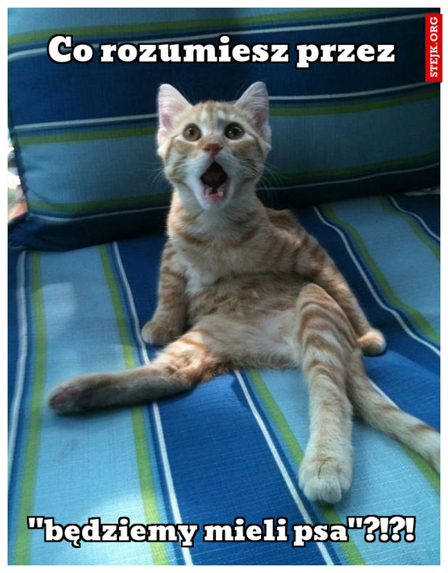 Co rozumiesz przez