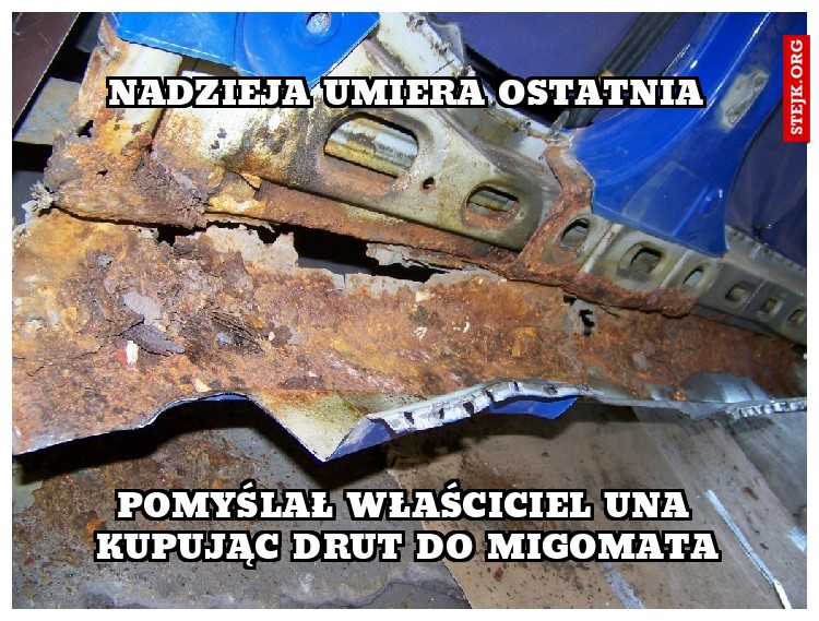 Nadzieja umiera ostatnia