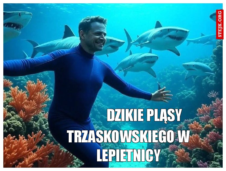 dzikie pląsy