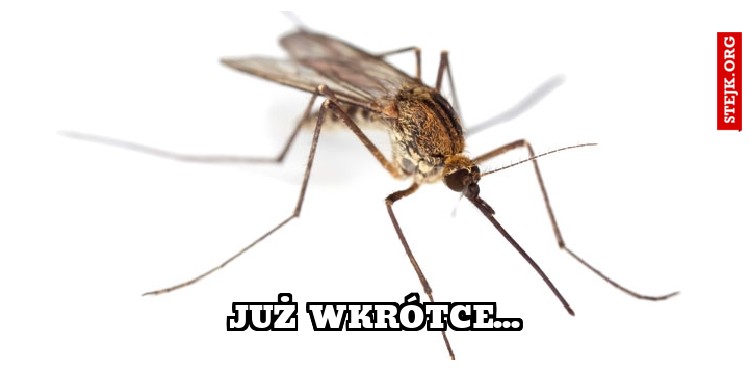 Już wkrótce...