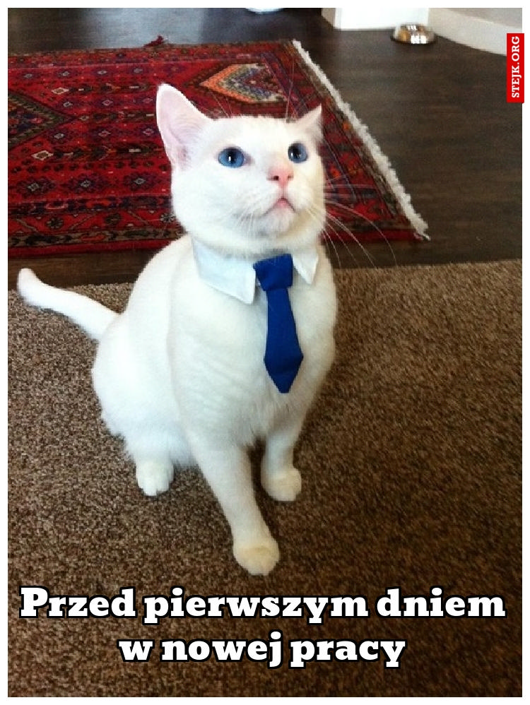 Przed pierwszym dniem w nowej pracy