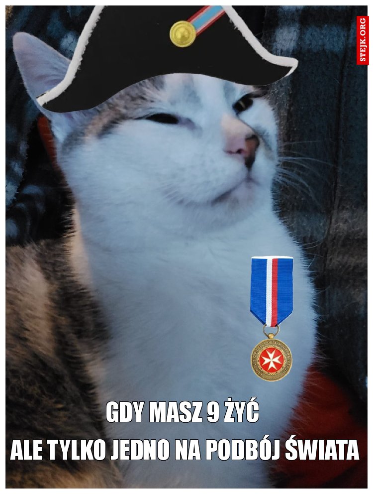 Gdy masz 9 żyć 