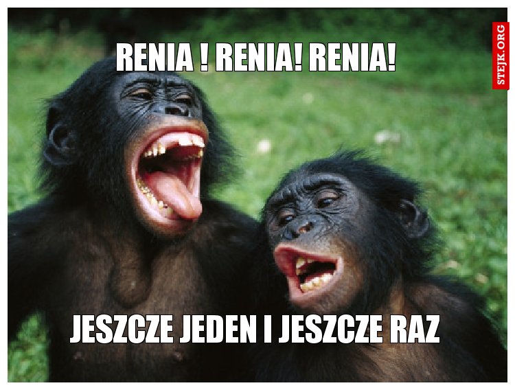 RENIU - ty jesteś miut malyna