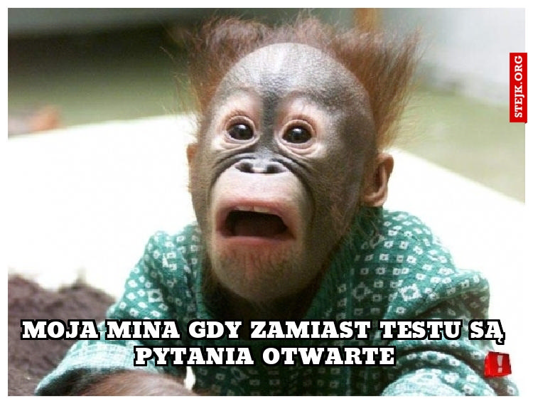 MOJA MINA GDY ZAMIAST TESTU SĄ PYTANIA OTWARTE