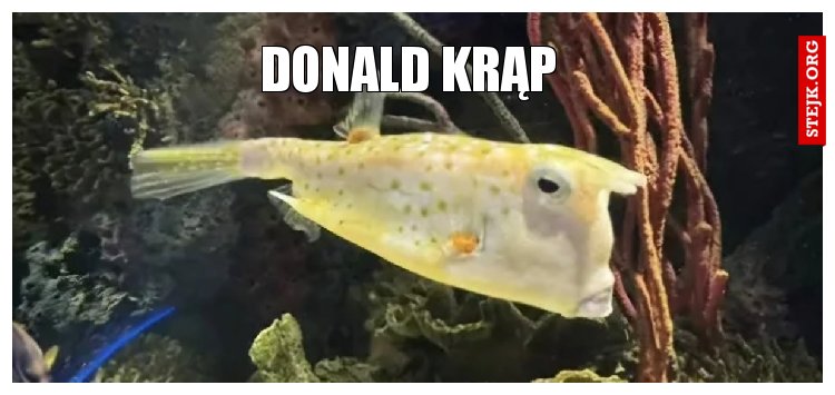 Donald Krąp
