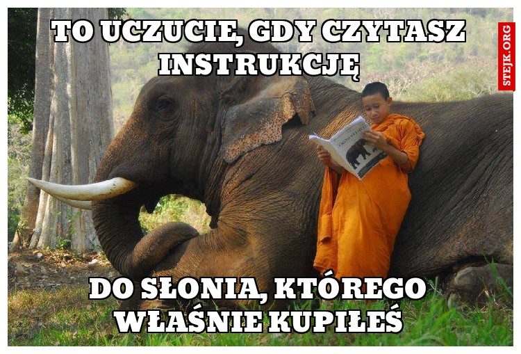To uczucie, gdy czytasz instrukcję