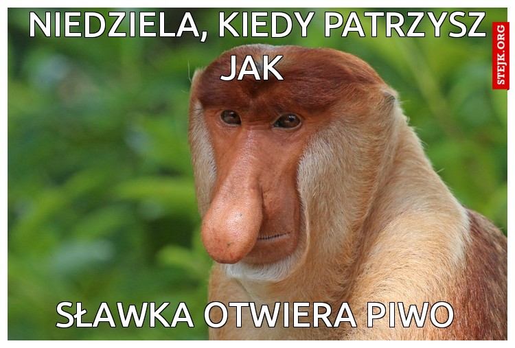 Niedziela, kiedy patrzysz jak 