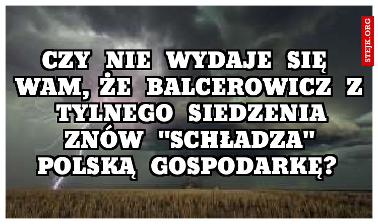 Czy   nie   wydaje   się   Wam,  że   Balcerowicz   z   tylnego   siedzenia  znów   "schładza" polską   gospodarkę? 