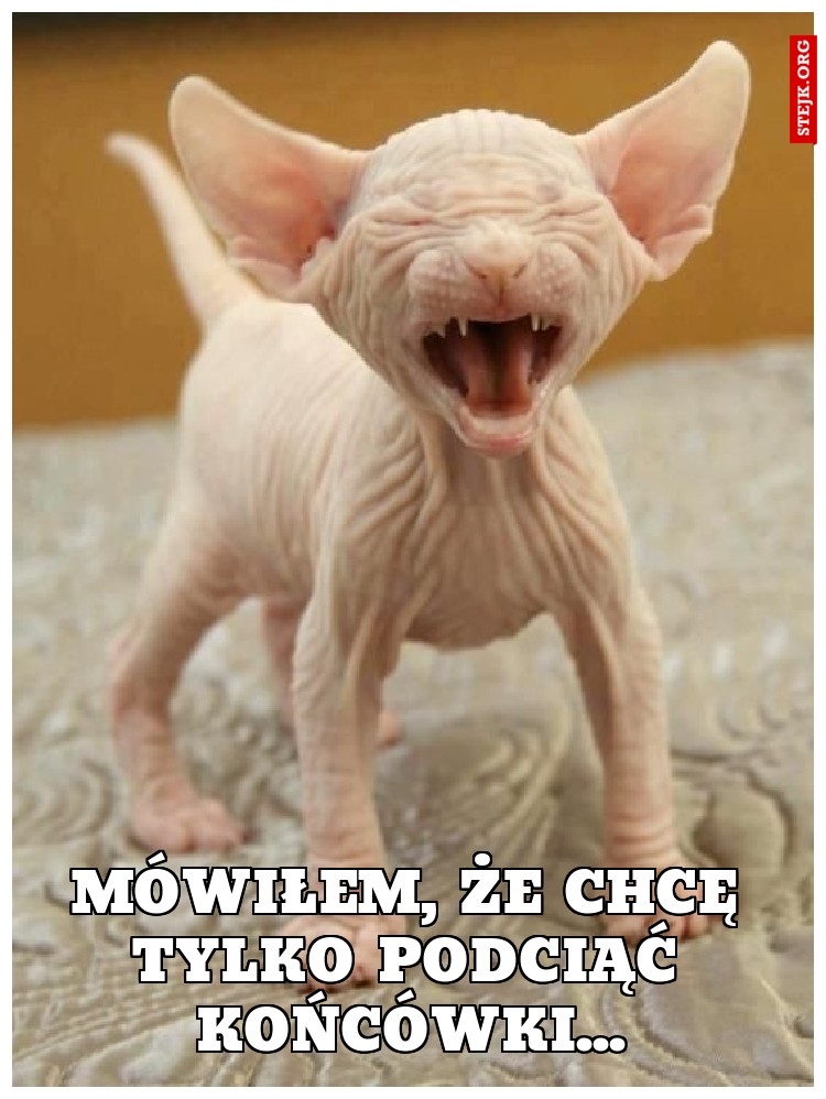 Mówiłem, że chcę tylko podciąć końcówki...