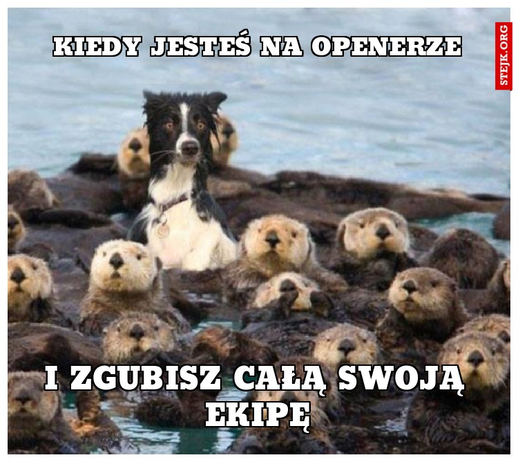 Kiedy jesteś na Openerze